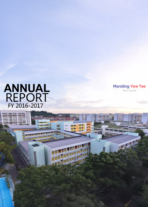 Annual Report 2016 / 2017
